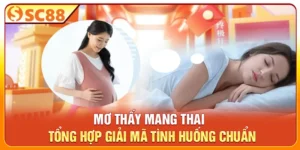 Mơ Thấy Mang Thai - Tổng Hợp Giải Mã Tình Huống Chuẩn